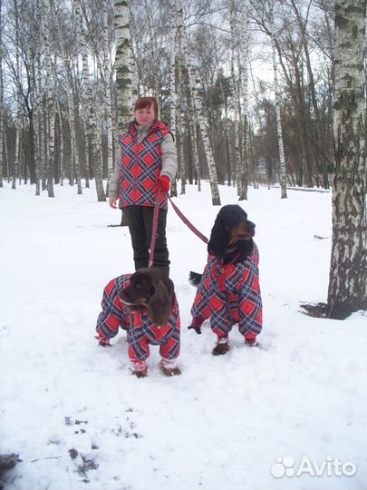 Комбинезоны для собак любых пород. Пошив