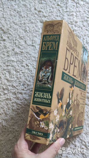 Жизнь животных Альфред Брем