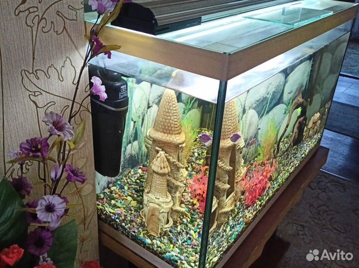 Укомплектованный аквариум