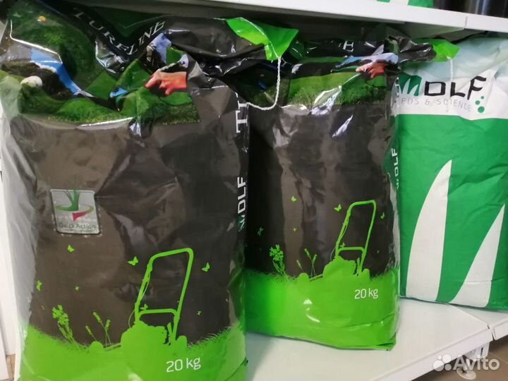 Семена газонной травы