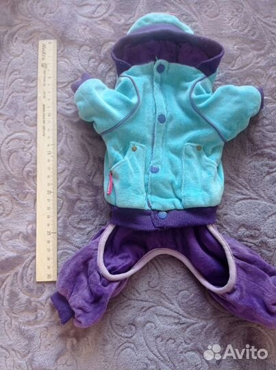 Одежда для собак