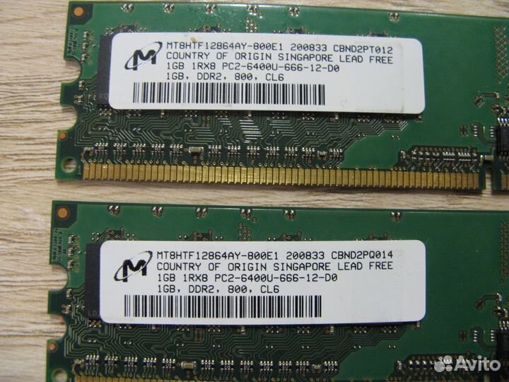 Оперативная память DDR2 - 1 GB (2 планки)