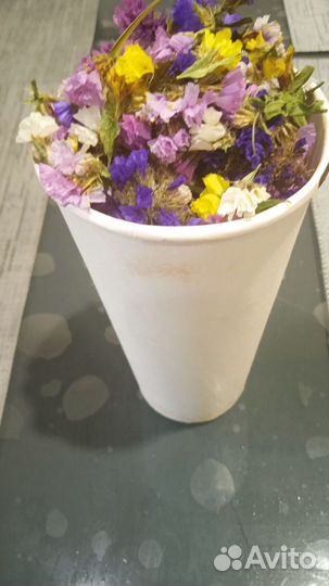 Соцветия статиц