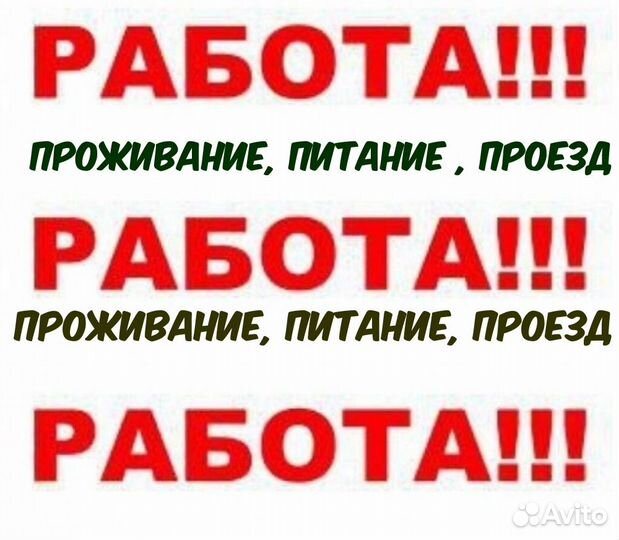 Вахтовый метод работы. Вахта 15/15 вакансии. Приглашаем на вахту. Работа в москве вакансии. Вахта проезд питание.