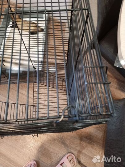 Клетка для грызунов очень большая