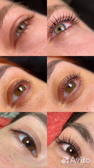 Ламинирование ресниц и бровей на дому