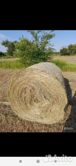 Продажа сена в тюках