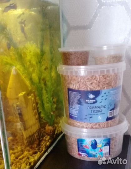 Аквариум с рыбками