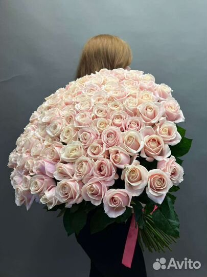 101 роза 80см с доставкой. Роза Голландия