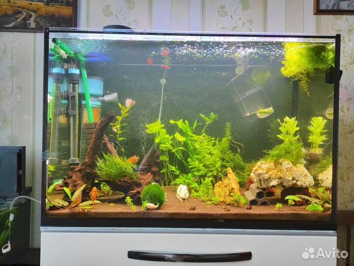 Аквариум с тумбой 200л бу