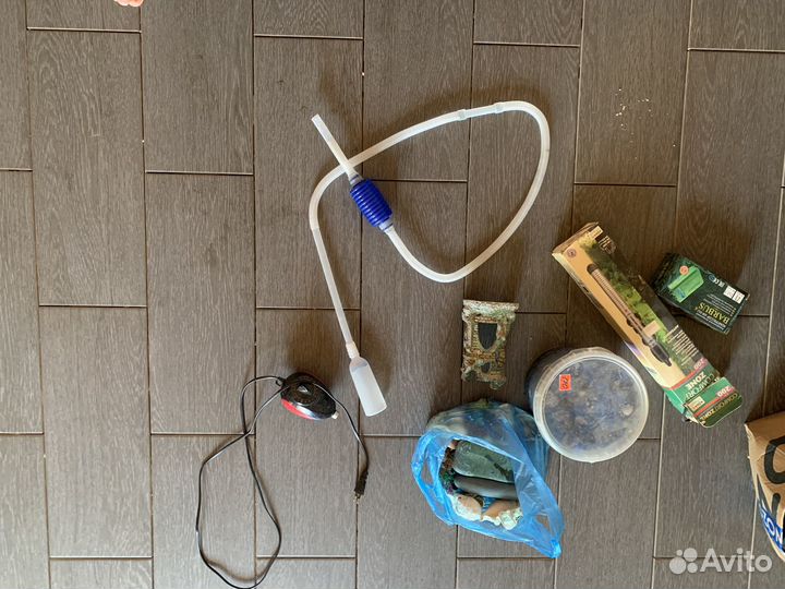 Аквариум, рыбы