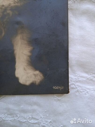 Кошка,стеклянные глазки 19 век