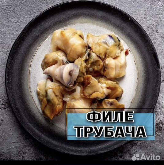 Феле трубача