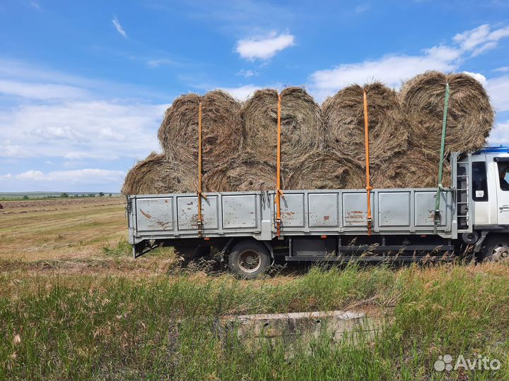 Сено солома в рулонах