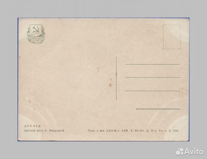 Мичурина Артек скрипка Микулина Романов дети