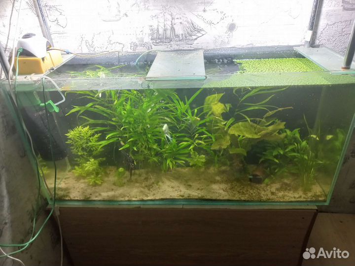 Аквариум