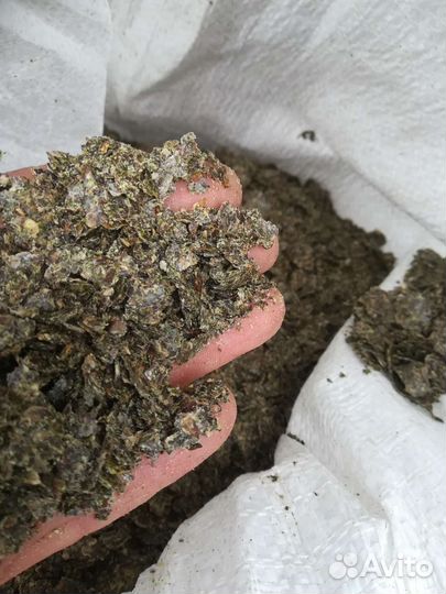 Жмых, жмых чёрного тмина, фуз - паста подсолничный