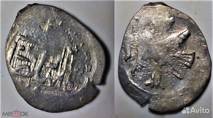 Чешуя удельная Василий темный потца Сирин