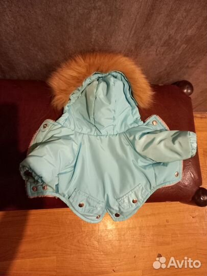 Одежда на мини собачку