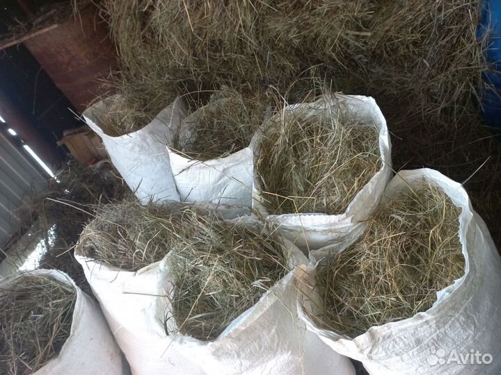 Сено в мешках 2023г