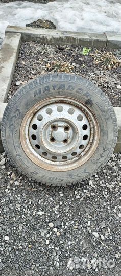 Matador MP 51 Sibir 2 195/65 R15