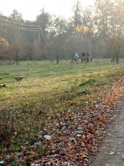 Участок 54 сот. (СНТ, ДНП)