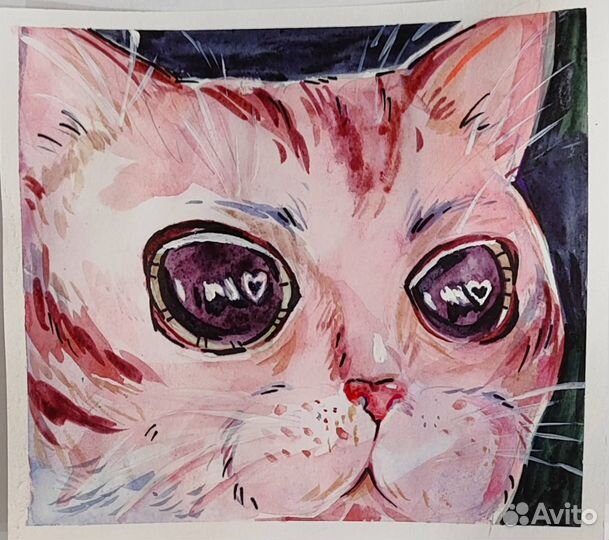 Котик. Рисунок акварель