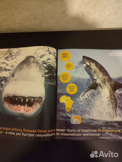 National geographic юный путешественник 2004