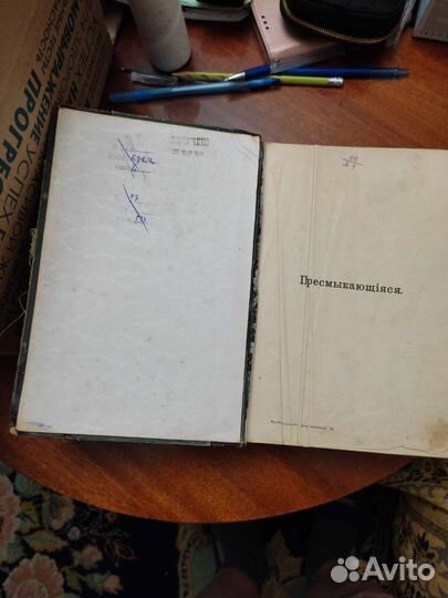 Старинная книга Жизнь животных Брэмь том3 пресм