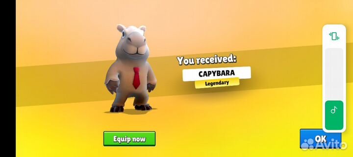 Тренер по игре стамбал гайс