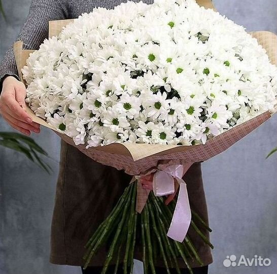 Хризантема Букет хризантем Доставка