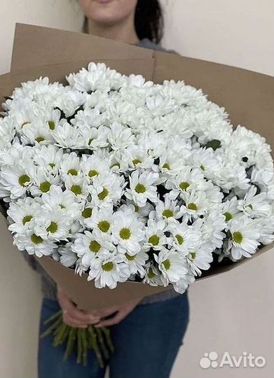 Хризантема Доставка цветов Букеты