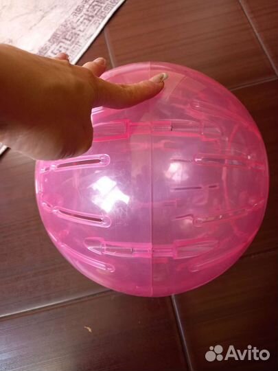 Шар для грызунов