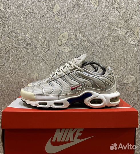 Nike air max plus TN