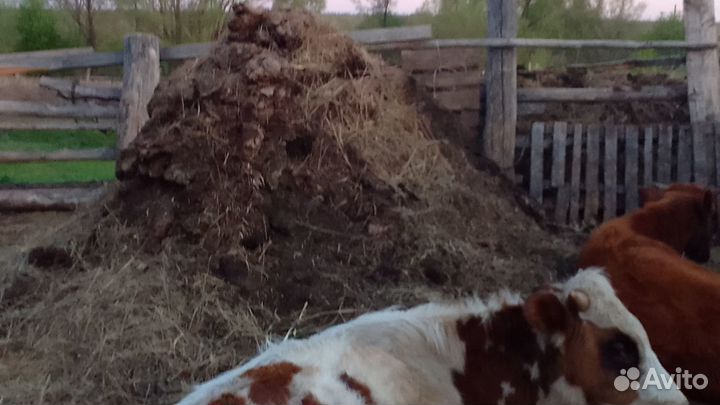 Навоз,перегной в мешках