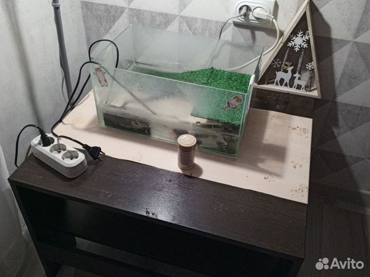 Черепаха водная