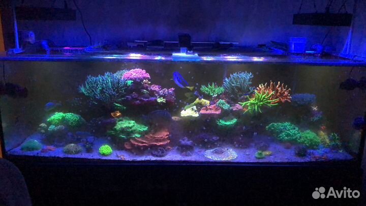 Светилтник для морского аквариума