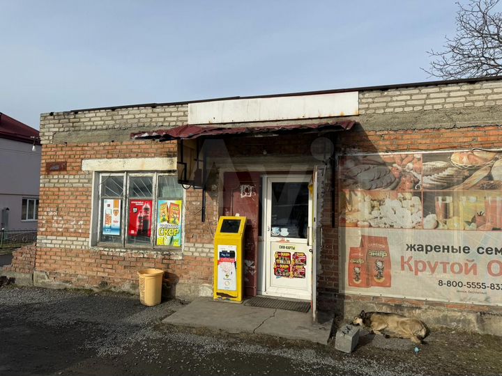 Торговая площадь, 123.4 м²