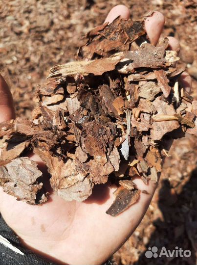 Кора сосны. Мульча сосновая. Кора сосновая