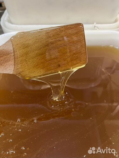 Натуральный мёд липовый. 2023 г. Опт