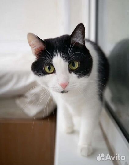 Невезучая Мадлеша очень долго ждёт вас