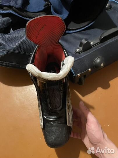 Коньки bauer vapor 1x