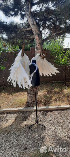 Крылья Ангела