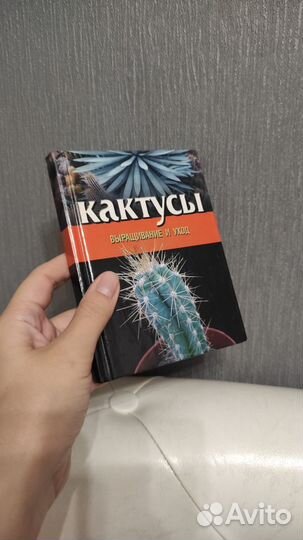 Кактусы. Выращивание и уход