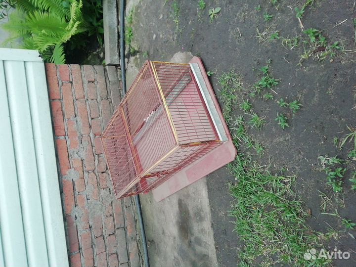 Клетки для перепелов