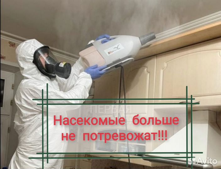 Уничтожение клопов, тараканов, мышей