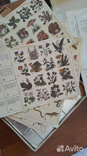 Детская настольная игра 