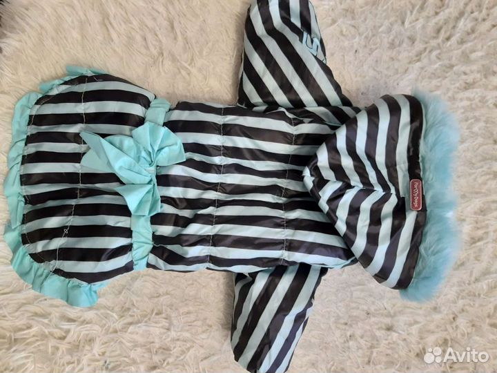 Одежда для собаки