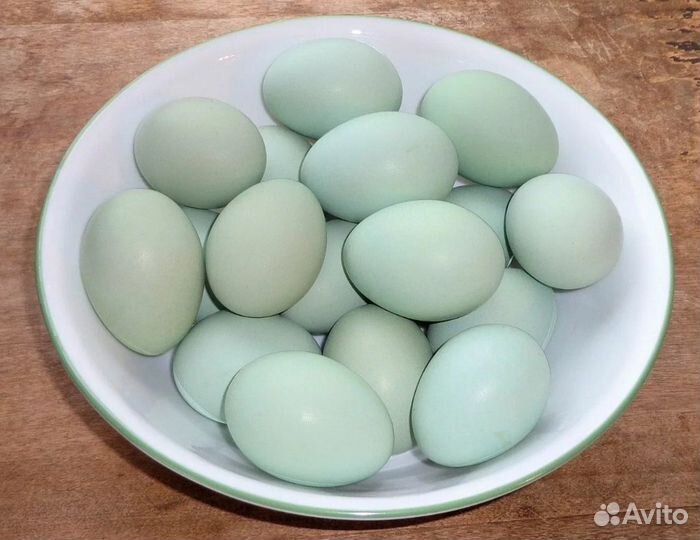 Яйцо куриное домашнее