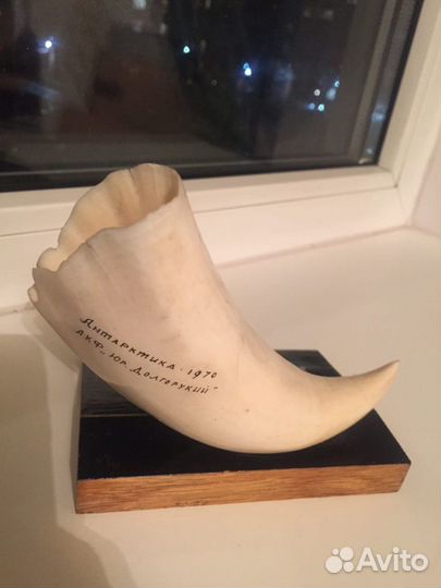 Антарктика 1970 год